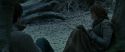 RdM1-Potterish9493.jpg