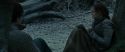 RdM1-Potterish9507.jpg