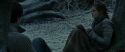 RdM1-Potterish9516.jpg