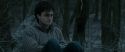 RdM1-Potterish9559.jpg