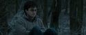 RdM1-Potterish9562.jpg