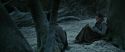RdM1-Potterish9564.jpg