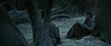 RdM1-Potterish9568.jpg