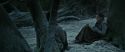 RdM1-Potterish9571.jpg