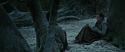 RdM1-Potterish9572.jpg