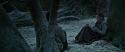 RdM1-Potterish9574.jpg