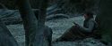 RdM1-Potterish9582.jpg