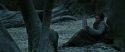RdM1-Potterish9583.jpg