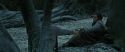 RdM1-Potterish9584.jpg