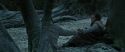 RdM1-Potterish9585.jpg