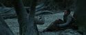 RdM1-Potterish9586.jpg