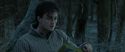 RdM1-Potterish9606.jpg