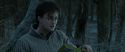 RdM1-Potterish9607.jpg
