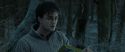 RdM1-Potterish9612.jpg