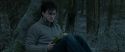 RdM1-Potterish9633.jpg