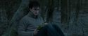 RdM1-Potterish9634.jpg