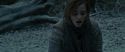 RdM1-Potterish9642.jpg