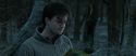 RdM1-Potterish9647.jpg