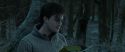 RdM1-Potterish9648.jpg