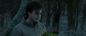 RdM1-Potterish9649.jpg