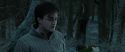 RdM1-Potterish9650.jpg