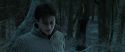 RdM1-Potterish9651.jpg