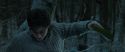 RdM1-Potterish9652.jpg