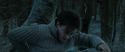 RdM1-Potterish9653.jpg