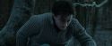 RdM1-Potterish9655.jpg