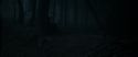 RdM1-Potterish9680.jpg