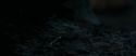 RdM1-Potterish9713.jpg