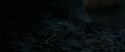 RdM1-Potterish9714.jpg