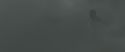 RdM2-Potterish_00114.jpg
