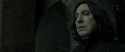 RdM2-Potterish_00177.jpg