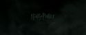 RdM2-Potterish_00194.jpg