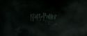 RdM2-Potterish_00196.jpg