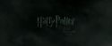 RdM2-Potterish_00198.jpg