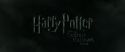 RdM2-Potterish_00203.jpg
