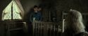 RdM2-Potterish_00744.jpg