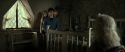 RdM2-Potterish_00747.jpg