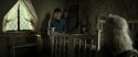 RdM2-Potterish_00755.jpg