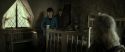 RdM2-Potterish_00758.jpg