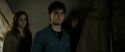 RdM2-Potterish_01185.jpg
