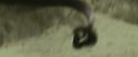 RdM2-Potterish_01291.jpg