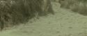 RdM2-Potterish_01292.jpg