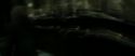 RdM2-Potterish_01441.jpg