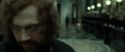 RdM2-Potterish_01571.jpg