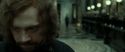 RdM2-Potterish_01572.jpg