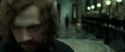 RdM2-Potterish_01573.jpg