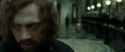 RdM2-Potterish_01574.jpg